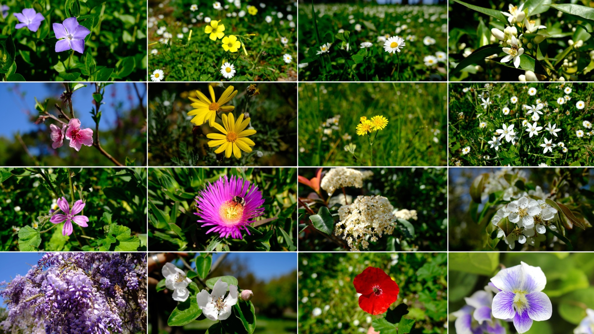 NEWS #1 | April 2026